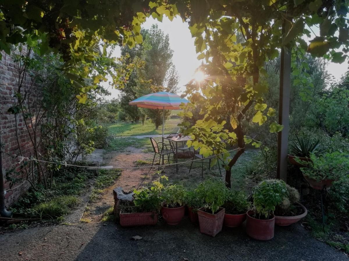 Casa Del Geco Bed & Breakfast Paestum Exterior photo