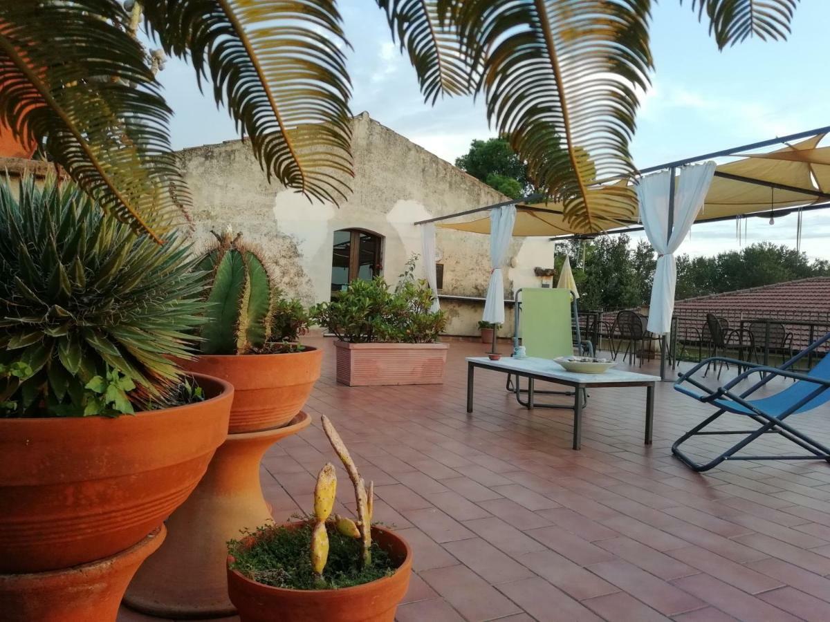 Casa Del Geco Bed & Breakfast Paestum Exterior photo